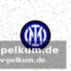 Champions league – aktuelle situation