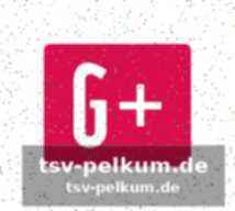 Dienstag kommt como – und chivu will mehr tempo sehen