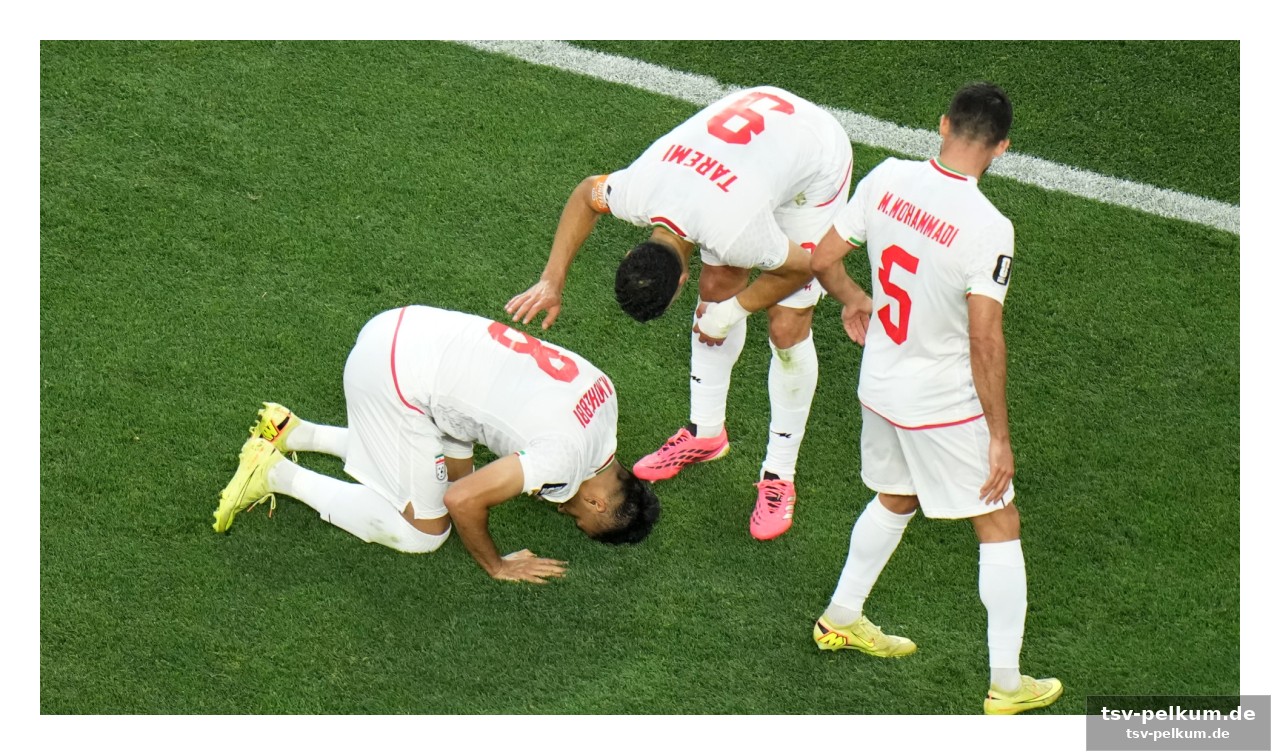 Kapitän taremi und al-hawie im zoll-albtraum