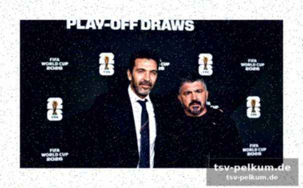 Gattusos engagement und die suche nach inspiration