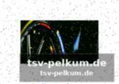 Die fahrerwertung