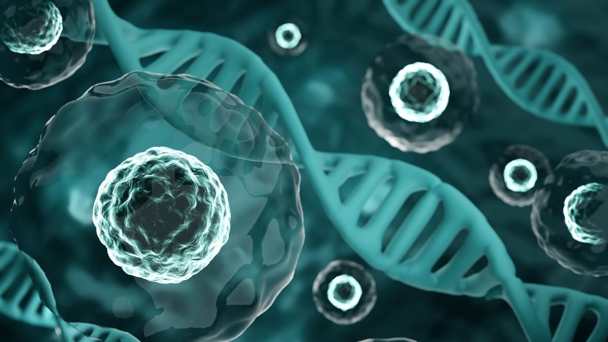 Italienischer durchbruch: krebs wird erst zum monster, wenn das immunsystem versagt
