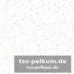 Dominanz der premier league