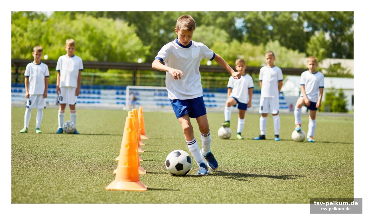 Der wandel der trainingsmethoden und die rolle der trainer