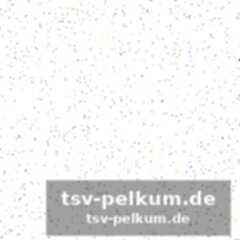 Berlin ruft – und mit ihr die usa