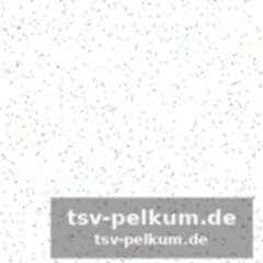Von atlanta bis venedig: die college-erfahrung zahlt sich aus