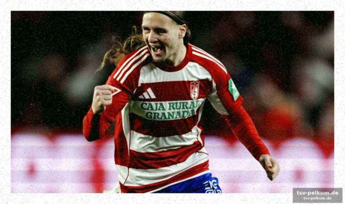 Schnelle anpassung an die segunda división