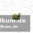Kayils statistiken im überblick