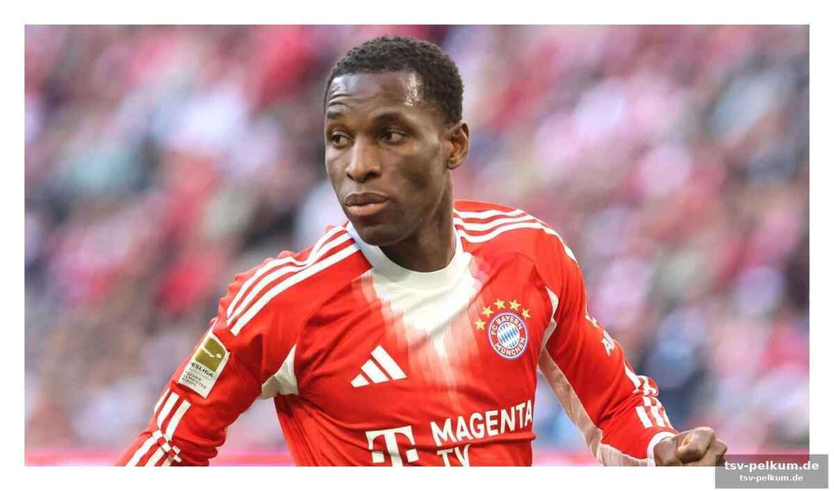 Olise bleibt ein bayern-juwel, neuer denkt über verlängerung nach