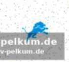 Die konsequenz: lions erfinden sich neu