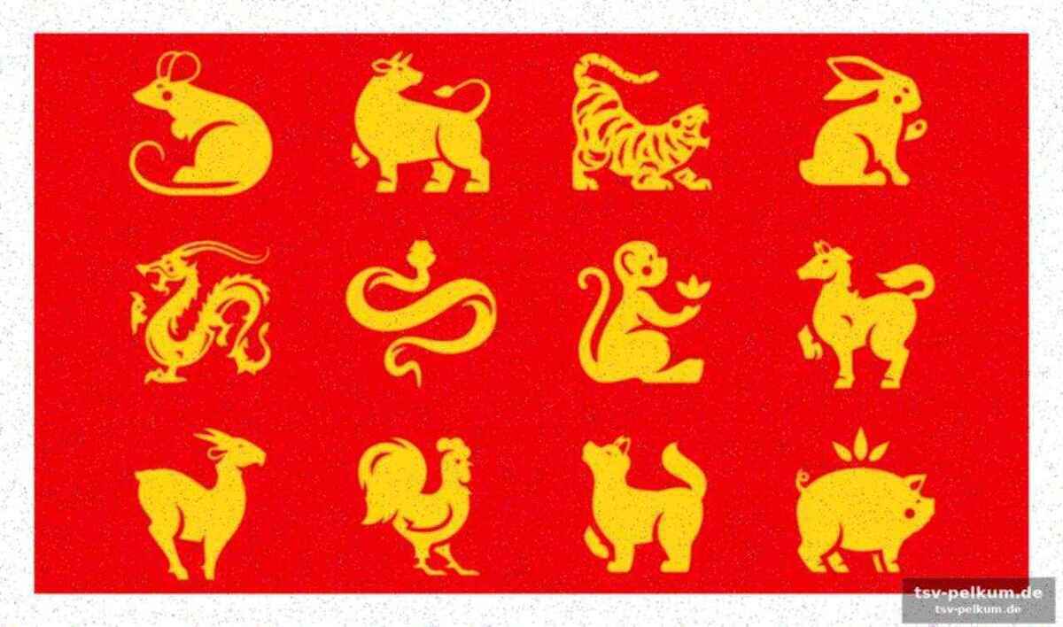 Die bedeutung des feuerpferds: leidenschaft und bewegung