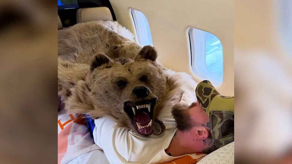 Jake paul sorgt für aufsehen: luxusleben im kontrast zu juttas olympia-sieg
