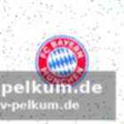 Länderspiele im märz realistisch?