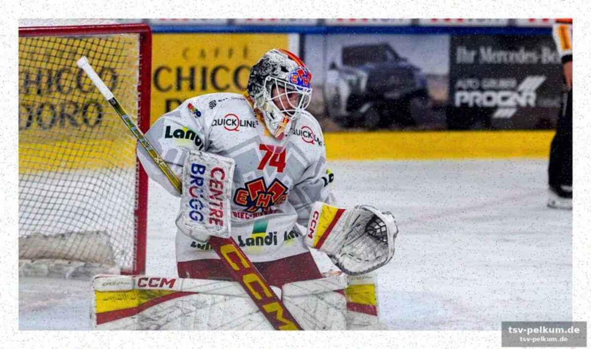 Ein heißer anwärter: nürnberg ice tigers