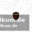 Einzigartiger rekord: 40 punkte, 15 rebounds, 5 assists, null turnover