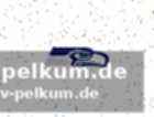 Verhandlungsposition und vertragsoptionen