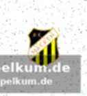 Agbonifos karriere im überblick