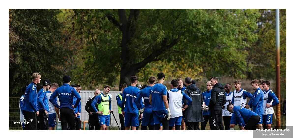 Dynamo jagt erzfeind union – und spielt heimlich gegen cottbus