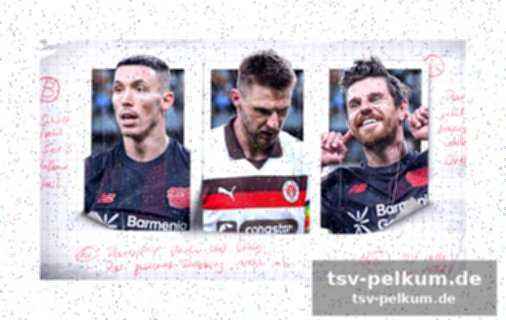 Zukunftsperspektiven für den sc freiburg