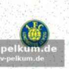 Erfolge in der regionalliga nordost und sachsenpokal