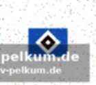 Kosicke lobt boldts expertise und netzwerk