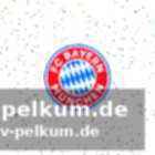 Ein eingespieltes team