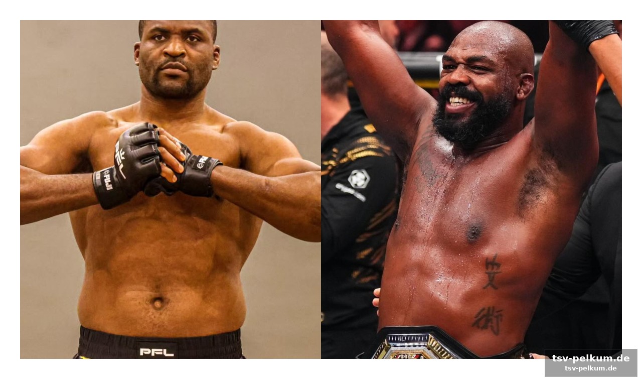 Die vorgeschichte: ngannou