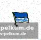 Brekalos vielseitigkeit: eine option für mehrere positionen
