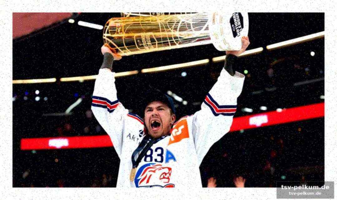 Die bilanz in der nhl