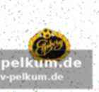 If elfsborg: ein sprungbrett für junge talente?