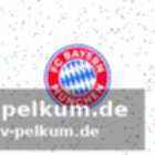 Aktuelle situation in der regionalliga