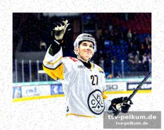 Die top-teams: zsc lions, tigers und davos setzen auf nachwuchs