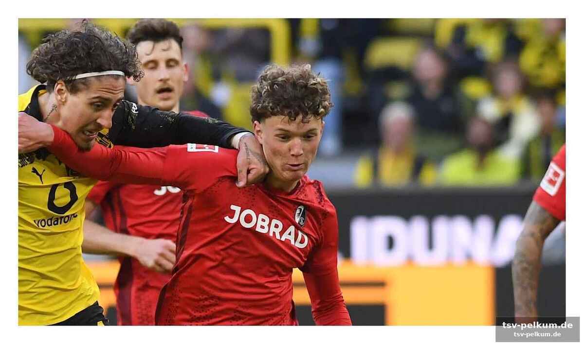 Von gottmadingen nach freiburg: tarnutzers außergewöhnlicher weg