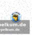 Werdegang des jungen talents