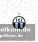 Vertragssituation beim fc zürich