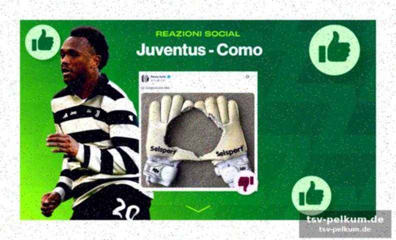 Comollis transfers unter der lupe