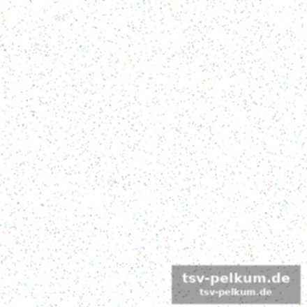 Openda im fokus: geht es für den belgier weiter nach unten?