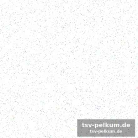 Openda im fokus – aber nicht im positiven sinne