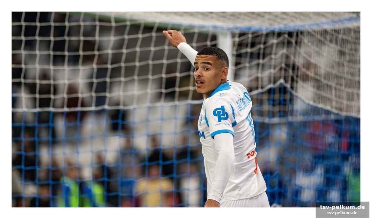 Die marselliesen als schlüssel zum transfer