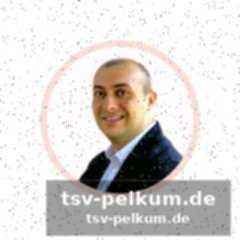 Die anfängliche unterstützung und die rolle von elkann