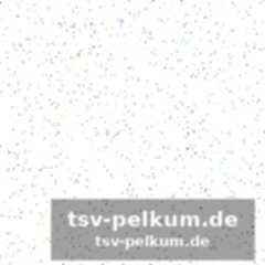Bremer im kader