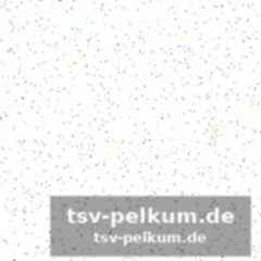 Warum zidane nie auf der bank schwitzte