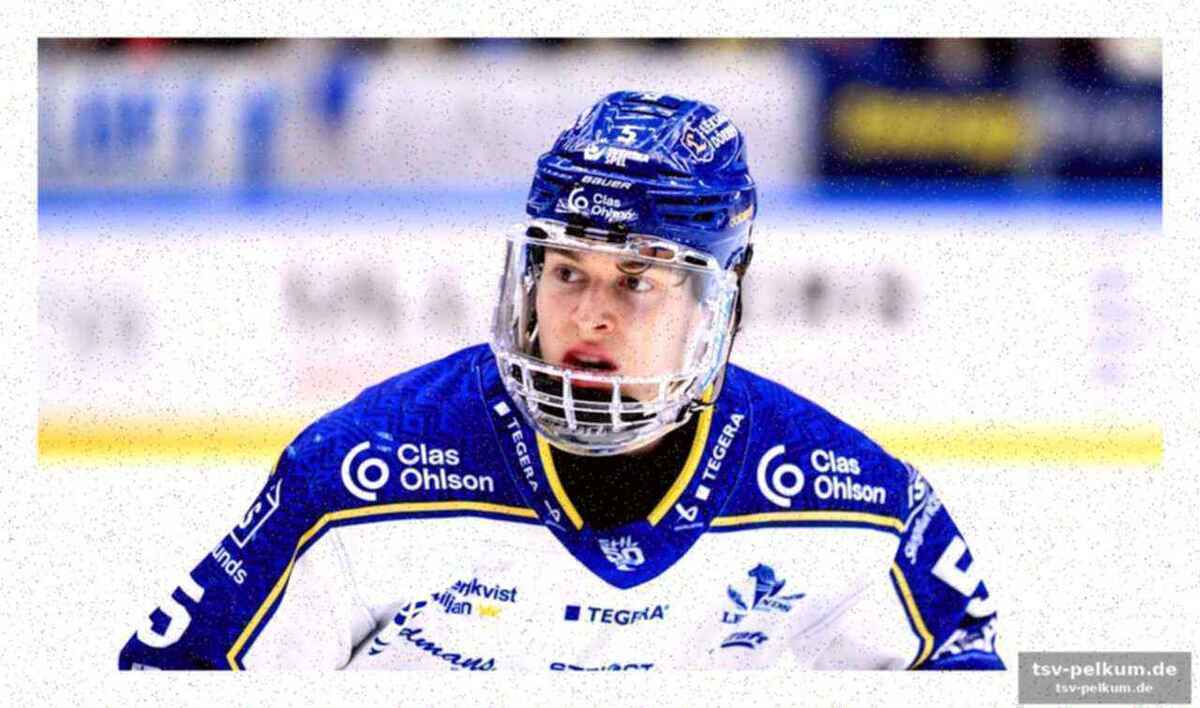 Hc fribourg-gottéron zögerte – ambri und langnau schon auf kurs