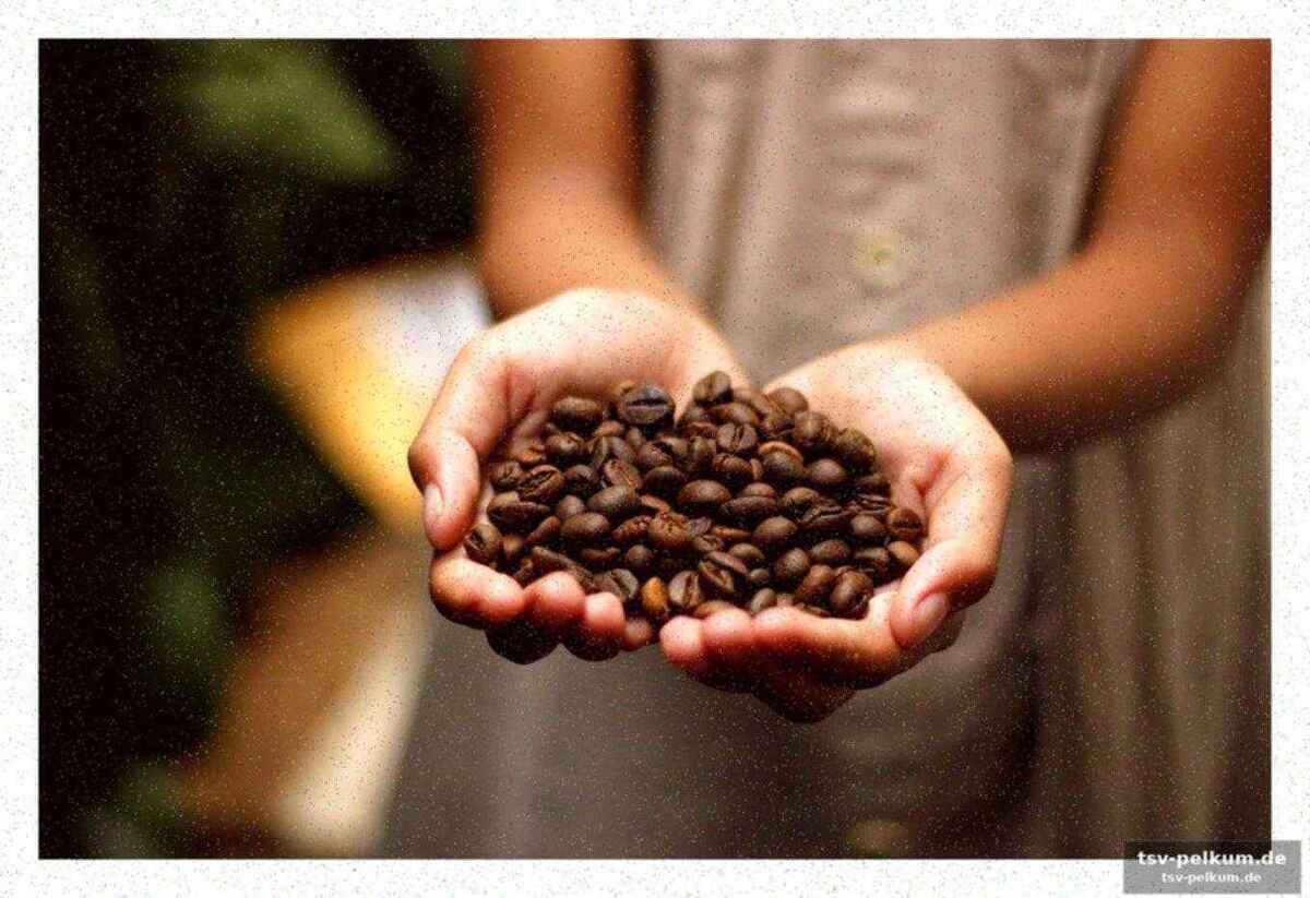 Koffein scheint der schlüssel zu sein