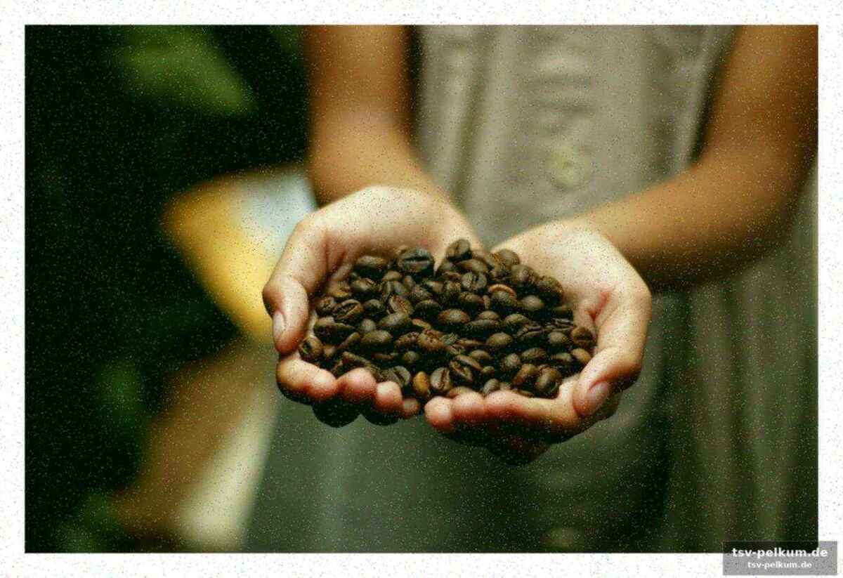 Koffein als schutzfaktor?