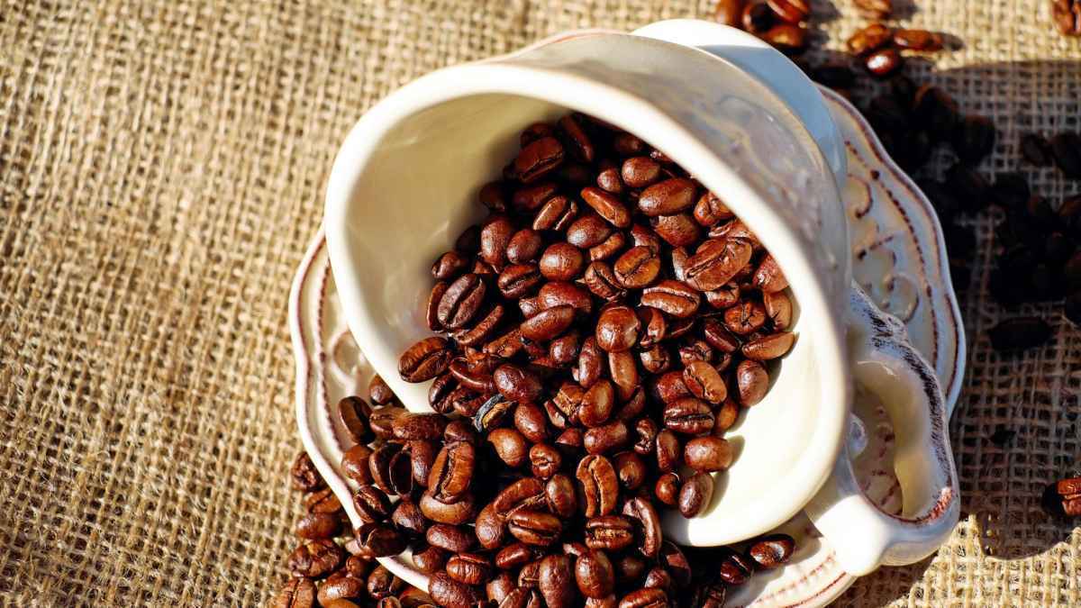 Kaffeetrinken: was sie über descafeinierung wissen müssen!