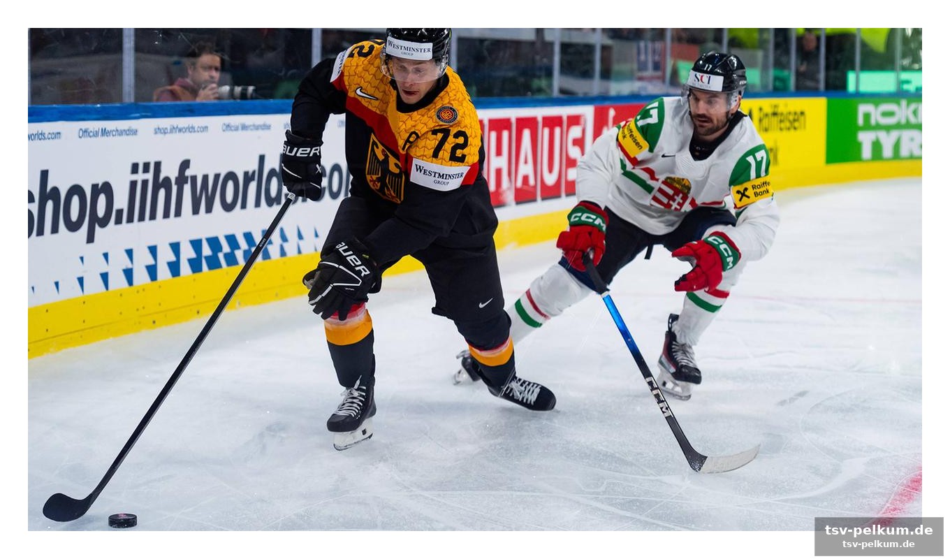Sechs eisbären berliner liefern die basis