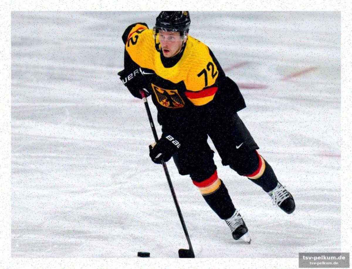Keine kritik an den nhl-stars