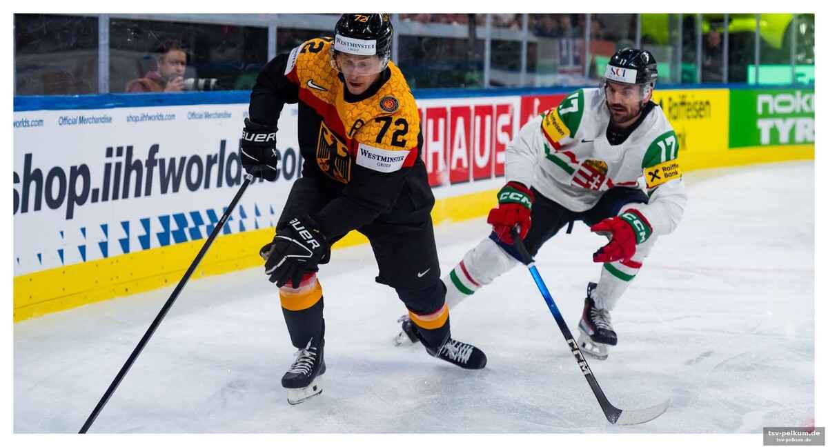 Die nhl-odyssee und die heimkehr