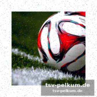 Die statistik im überblick